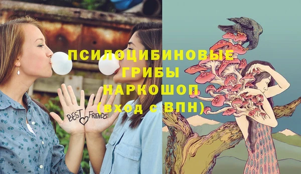 бошки Абдулино