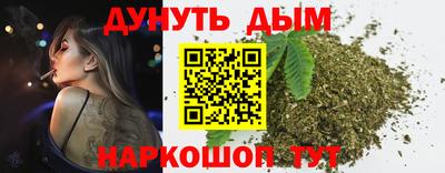 спиды Гатчина