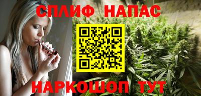 спиды Гатчина