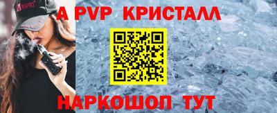 спиды Гатчина
