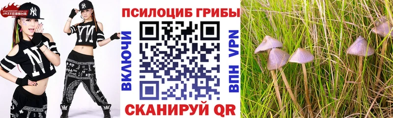 Псилоцибиновые грибы мухоморы  цена   Благодарный 