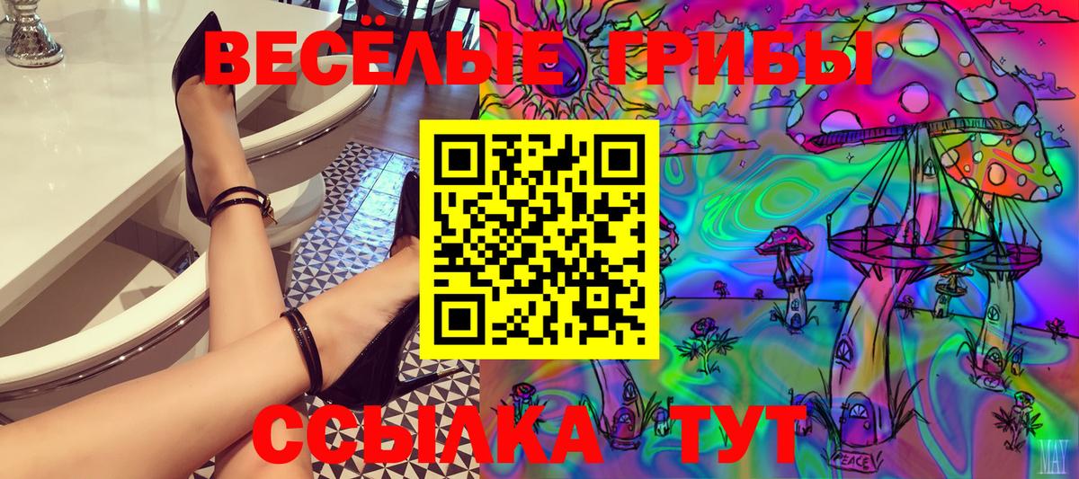 Благодарный  Галлюциногенные грибы GOLDEN TEACHER  Вход с VPN 