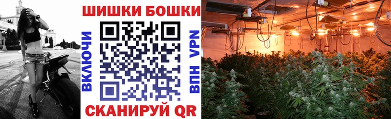 где купить наркоту  Благодарный  Марихуана конопля 
